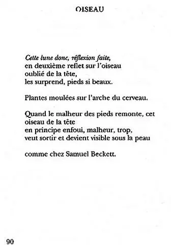 Extrémités - Oiseau - Page 90 - Auteur Jean-Noël Chrisment